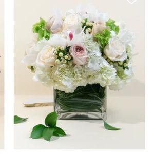 Meet your Posher, Marie